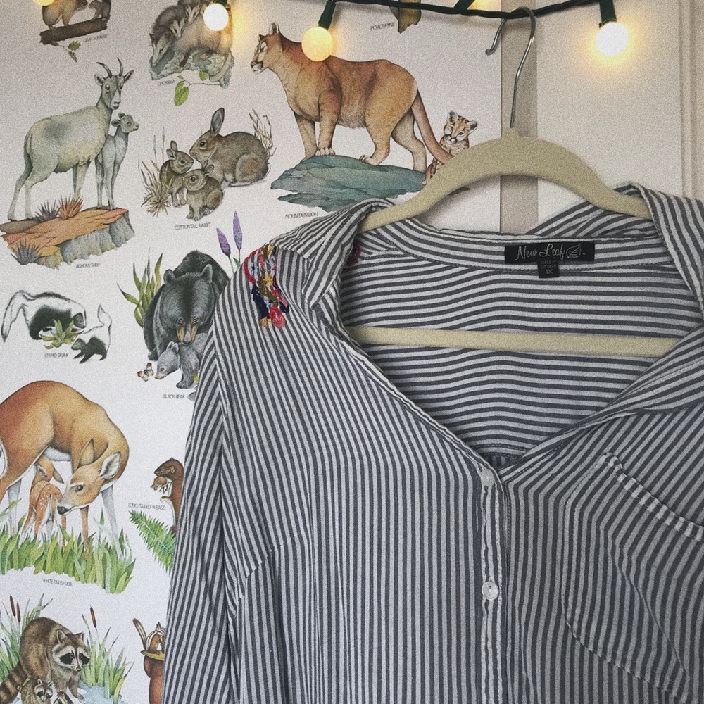 Plus Size Embroidered Button Down